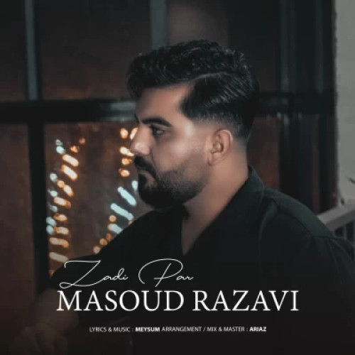 دانلود آهنگ مسعود رضوی به نام زدی پر