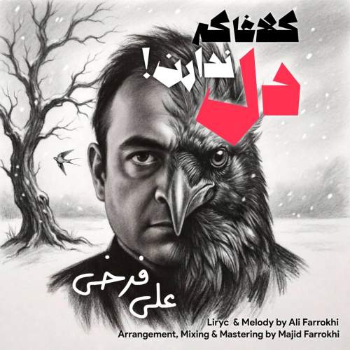 دانلود آهنگ علی فرخی به نام کلاغا که دل ندارن