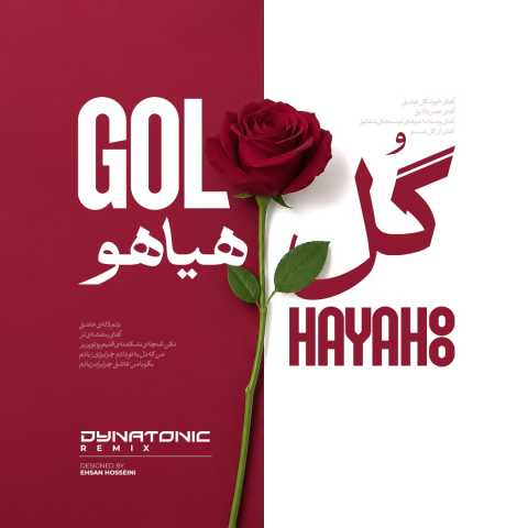 دانلود آهنگ فریدون آسرایی به نام گل هیاهو (دایناتونیک ریمیکس)